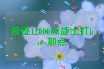 奇迹12000点战士打boss加点