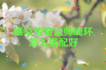 维京传奇法师魂环怎么搭配好