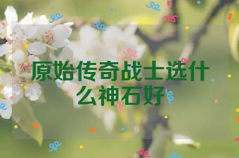 原始传奇战士选什么神石好