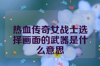 热血传奇女战士选择画面的武器是什么意思