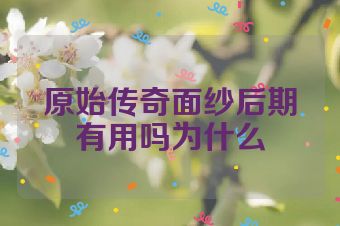 原始传奇面纱后期有用吗为什么