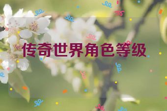 传奇世界角色等级