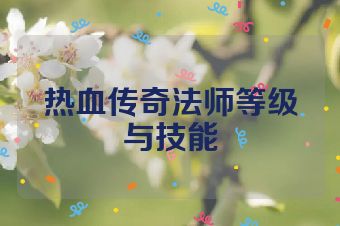 热血传奇法师等级与技能