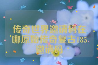传奇世界邀请码在哪原始传奇复古185邀请码