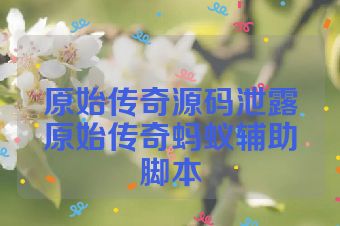 原始传奇源码泄露原始传奇蚂蚁辅助脚本