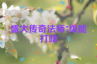 盛大传奇法师7级能打啥