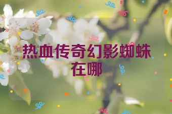 热血传奇幻影蜘蛛在哪