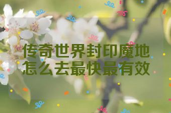 传奇世界封印魔地怎么去最快最有效