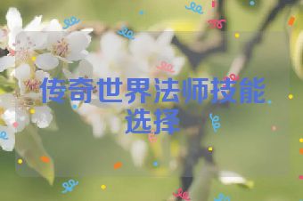 传奇世界法师技能选择