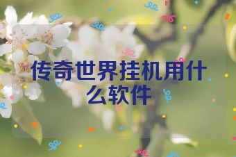 传奇世界挂机用什么软件