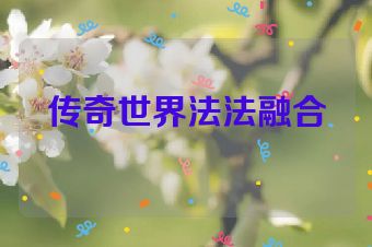 传奇世界法法融合