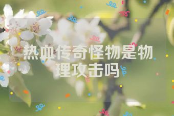 热血传奇怪物是物理攻击吗