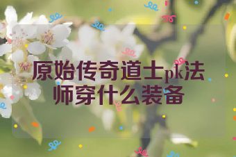 原始传奇道士pk法师穿什么装备