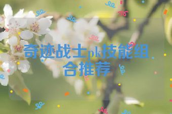 奇迹战士pk技能组合推荐