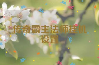 传奇霸主法师挂机设置
