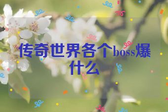 传奇世界各个boss爆什么