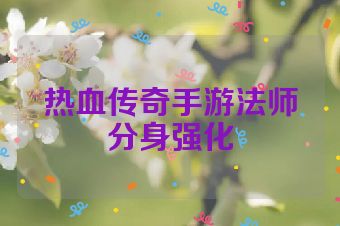 热血传奇手游法师分身强化