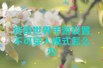 传奇世界手游设置不可穿人模式怎么办