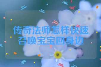 传奇法师怎样快速召唤宝宝回身边