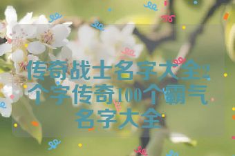 传奇战士名字大全2个字传奇100个霸气名字大全