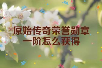 原始传奇荣誉勋章一阶怎么获得