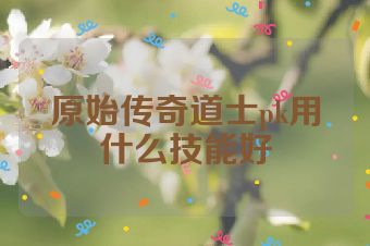 原始传奇道士pk用什么技能好