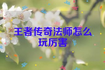 王者传奇法师怎么玩厉害