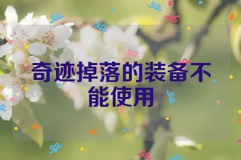 奇迹掉落的装备不能使用