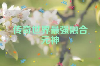 传奇世界最强融合元神