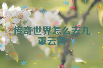传奇世界怎么去九重云霄