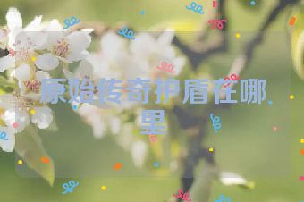原始传奇护盾在哪里