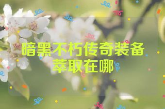 暗黑不朽传奇装备萃取在哪