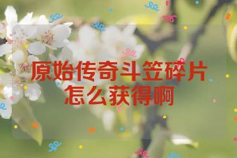 原始传奇斗笠碎片怎么获得啊