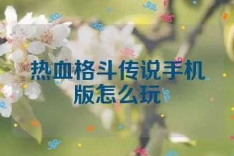 热血格斗传说手机版怎么玩