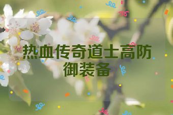 热血传奇道士高防御装备