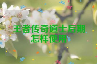 王者传奇道士后期怎样使用