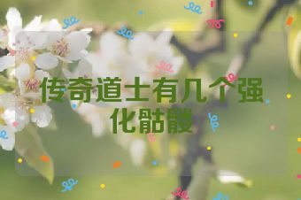传奇道士有几个强化骷髅