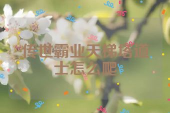 传世霸业天梯塔道士怎么爬