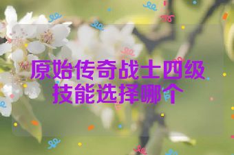 原始传奇战士四级技能选择哪个