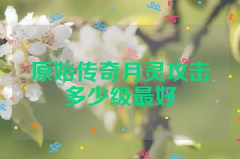 原始传奇月灵攻击多少级最好