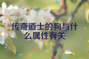 传奇道士的狗与什么属性有关