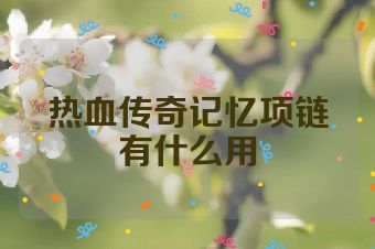 热血传奇记忆项链有什么用
