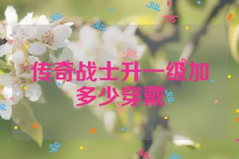 传奇战士升一级加多少穿戴
