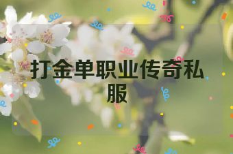 打金单职业传奇私服
