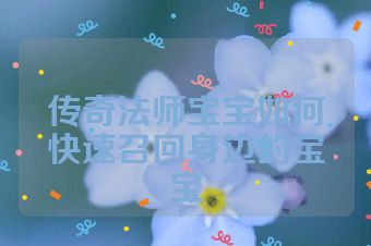 传奇法师宝宝如何快速召回身边的宝宝
