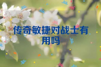 传奇敏捷对战士有用吗