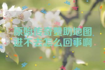 原始传奇赞助地图进不去怎么回事啊