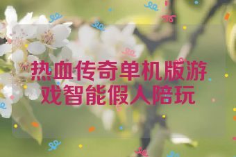 热血传奇单机版游戏智能假人陪玩