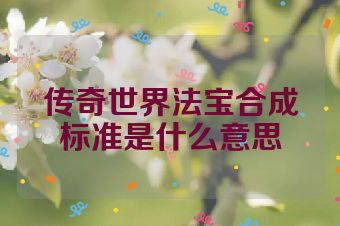传奇世界法宝合成标准是什么意思