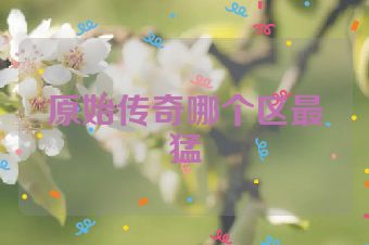 原始传奇哪个区最猛